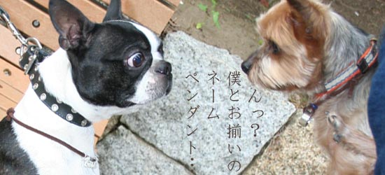 お揃いのネームリングもある ヨーキー