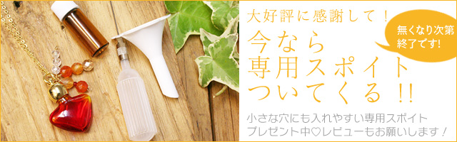 新発売プレゼントキャンペーン