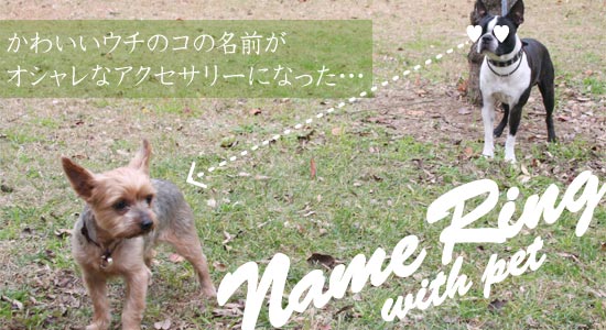 かわいいウチのペットの名前がおしゃれなアクセサリーになった ウィズ ペット ボストンテリア