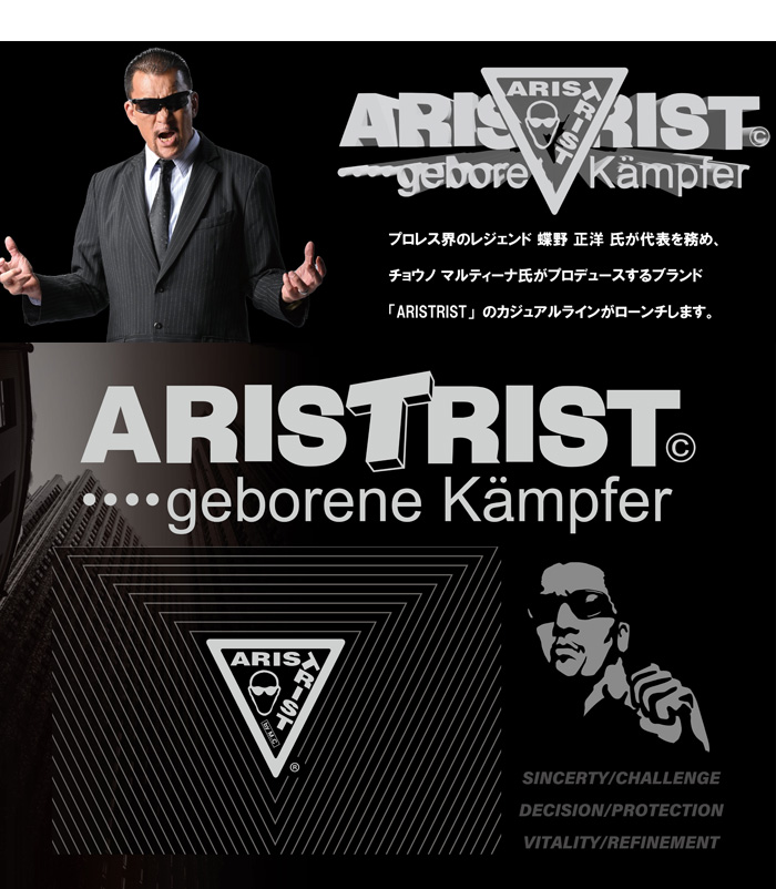 ARISTRIST 　メッシュボーダーシャツ　Ｌ ashuhari (アシュハリ) ストライプ 五分袖Tシャツ ボーダー