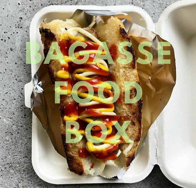 200個テイクアウト用 お持ち帰りケース 業者 テイクアウト 容器 takeout お持ち帰り おしゃれ エコ バガス