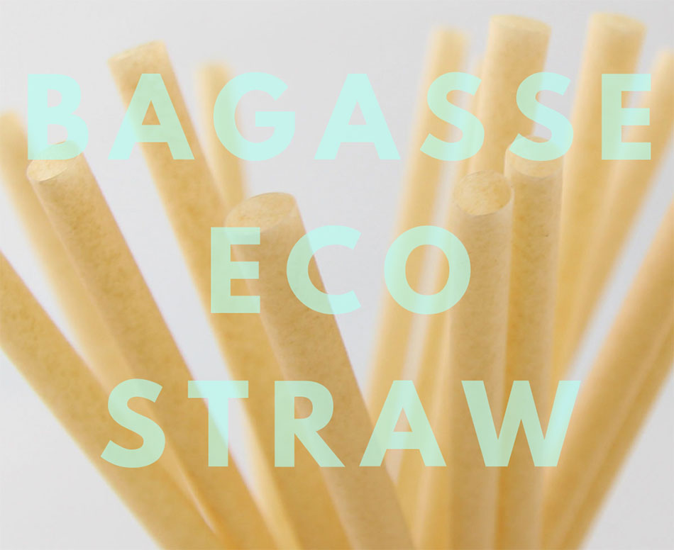8mm口径 テイクアウト おしゃれ エコ バガス サトウキビ ストロー エコ