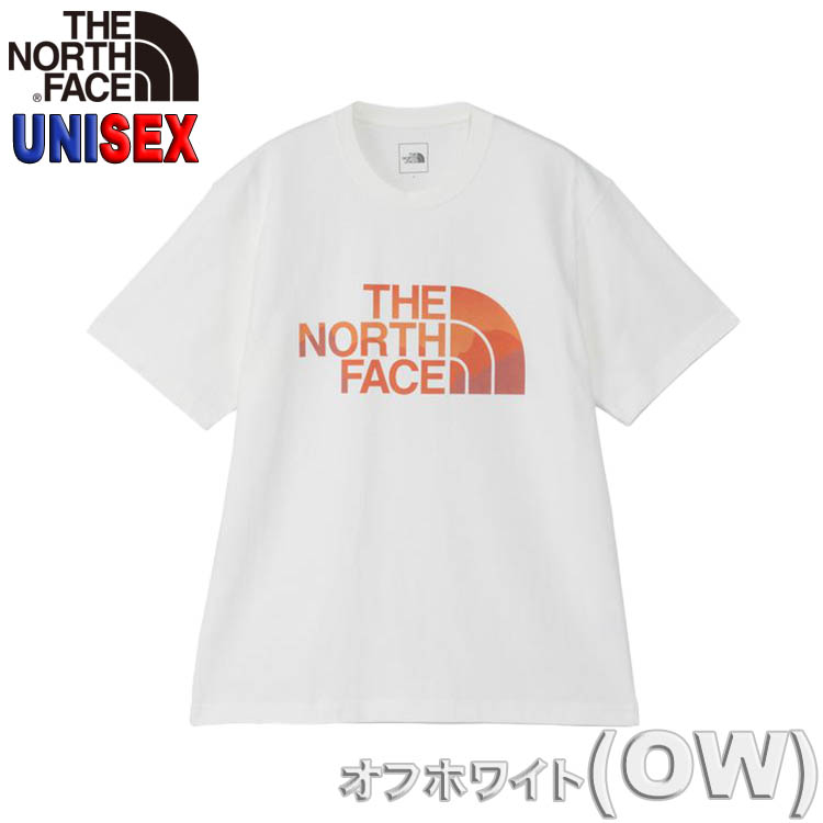 ノースフェイス 半袖 Tシャツ デーフロー Heavy Cotton North Face アウトド...