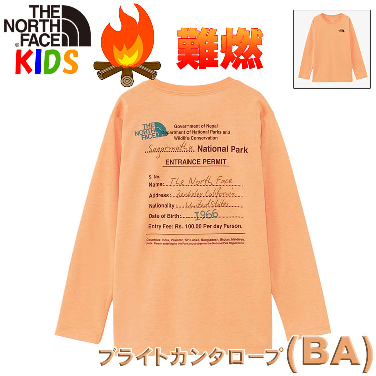 THE NORTH FACE（ザ ノースフェイス） キッズ 100-150cm 長袖Tシャツ