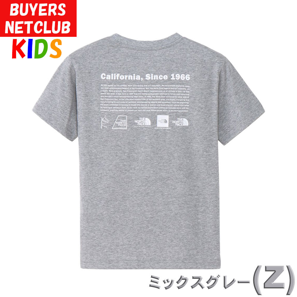 THE NORTH FACE ザ・ノース・フェイス メンズTシャツ ビッグロゴ