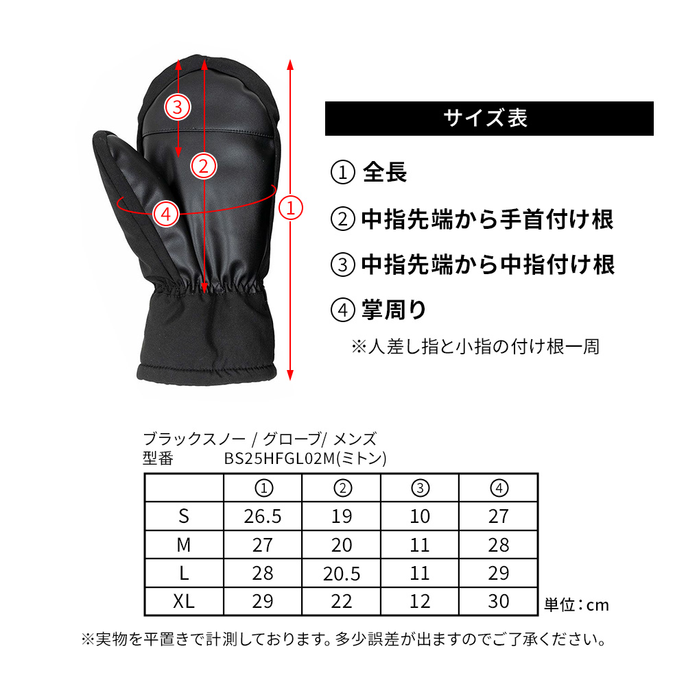 BLACK SNOW スノボ スキーグローブ メンズ スノーボード BLACKSNOW