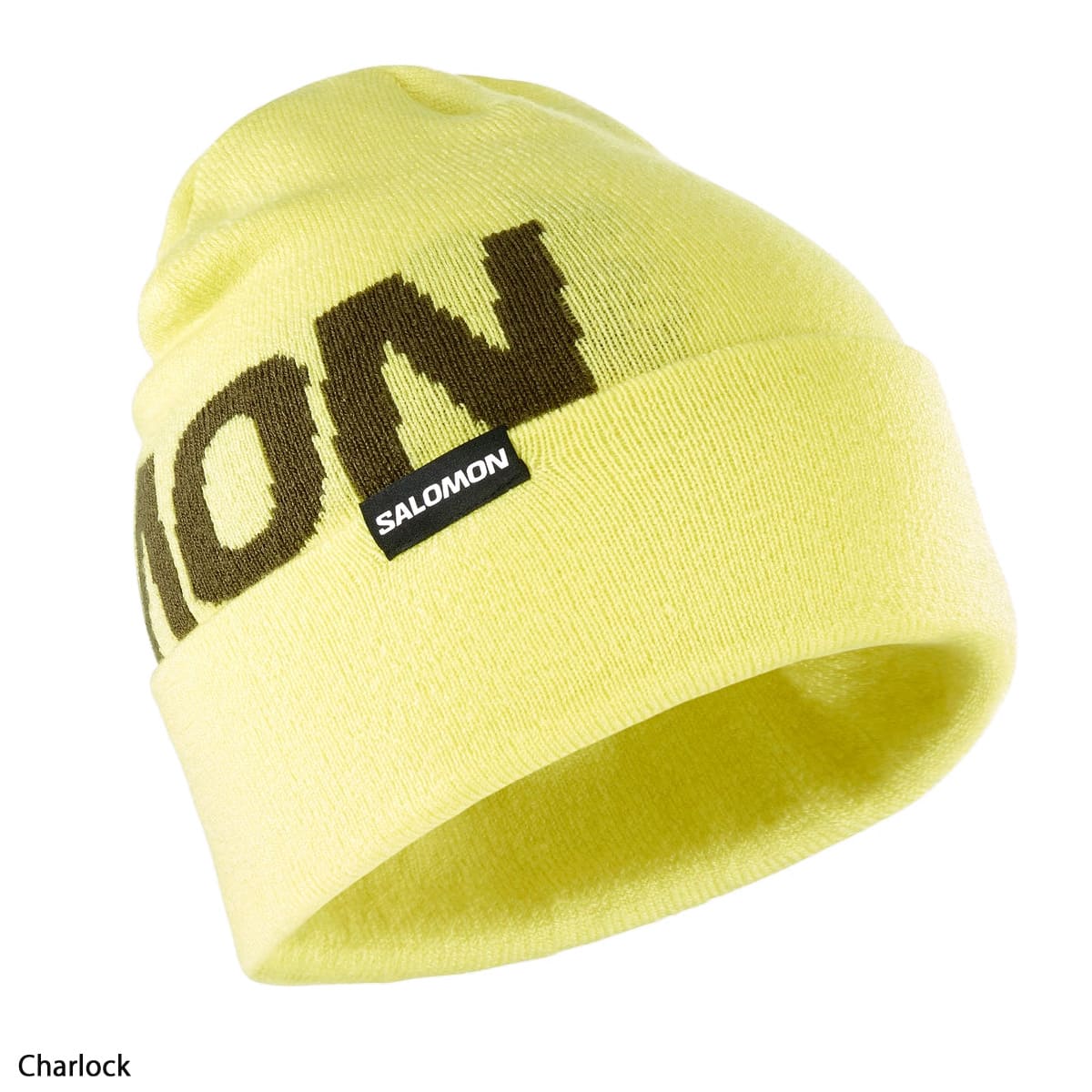 SALOMON サロモン  スノボニット帽 メンズ レディース ＜2024＞HERMITAGE BEANIE | SALOMON | 01