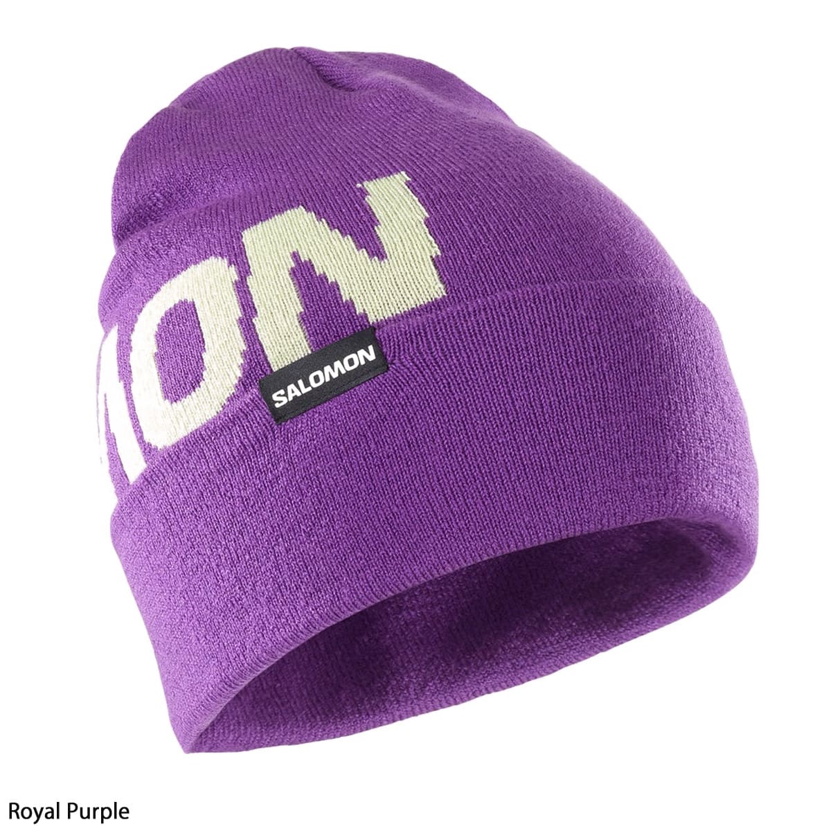 SALOMON サロモン  スノボニット帽 メンズ レディース ＜2024＞HERMITAGE BEANIE | SALOMON | 03