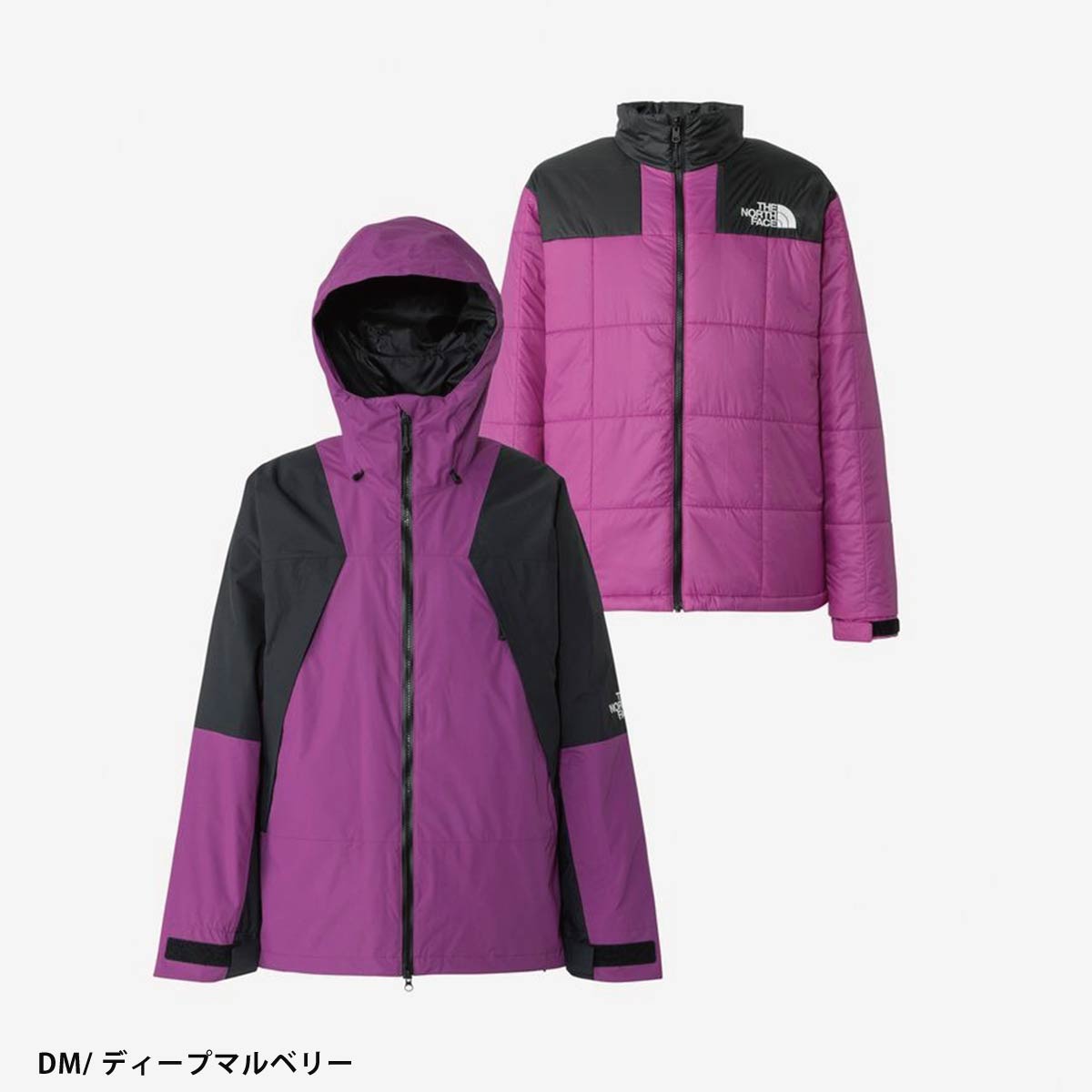THE NORTH FACE（ザ ノースフェイス） スノボウェア メンズ スノボ