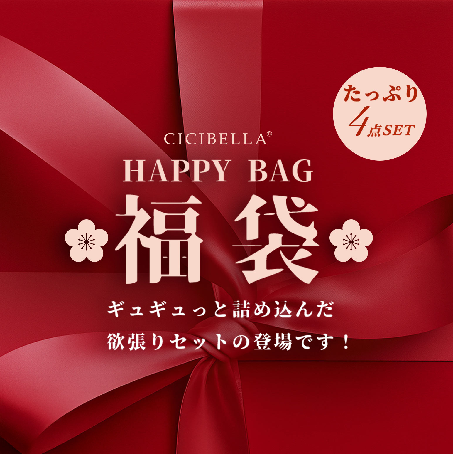 2026年新春福袋 4点入り スーツケース Sサイズ 帽子 機内持ち込み 超軽量 1-3日泊 シートマスク 電気カイロ CICIBELLA シシベラ 爆買 | CICIBELLA | 01