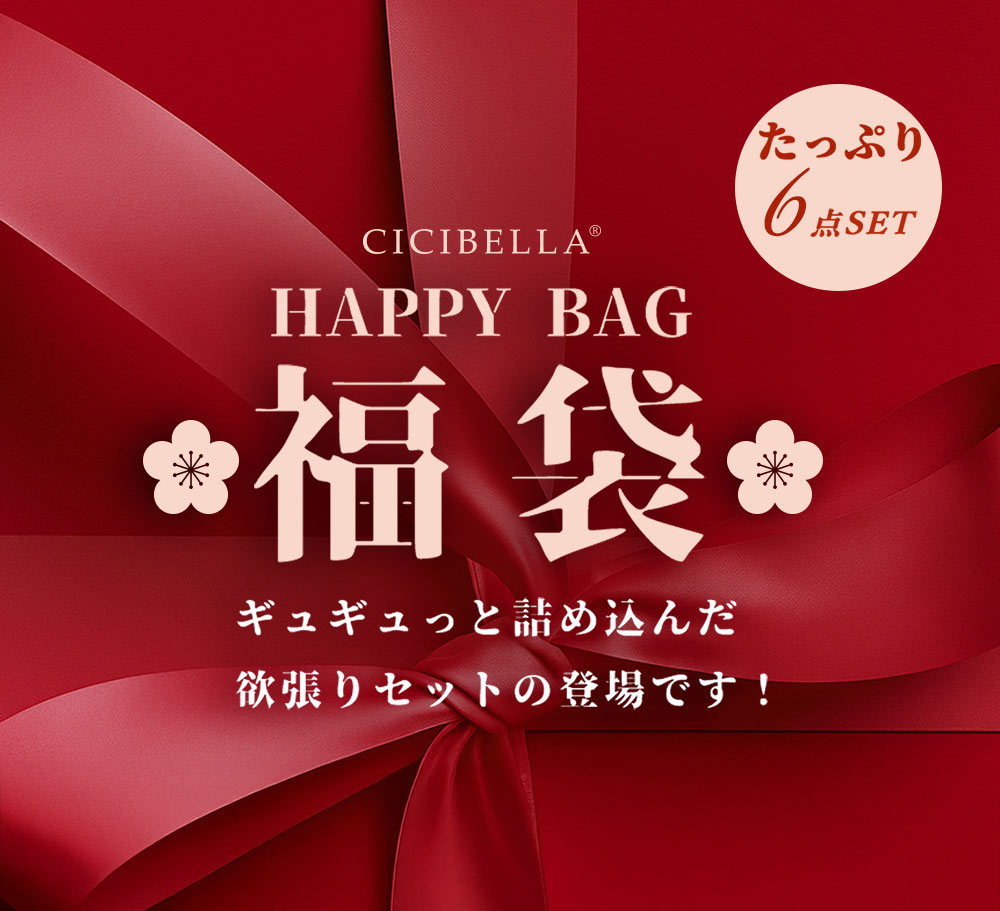CICIBELLA 2026福袋 6点超お得セット マスク ドライタオル 毛布 電気