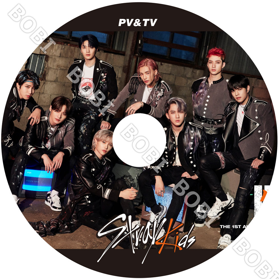 【K-POP DVD】 Stray Kids 2020 PV&TV Back Door~ ストレイ 