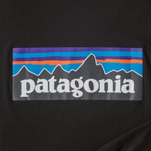 パタゴニア【patagonia】メンズ ロングスリーブ P-6ロゴ レスポンシビリティー Tシャツ ...