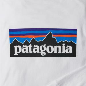 パタゴニア【patagonia】メンズ ロングスリーブ P-6ロゴ レスポンシビリティー Tシャツ ...