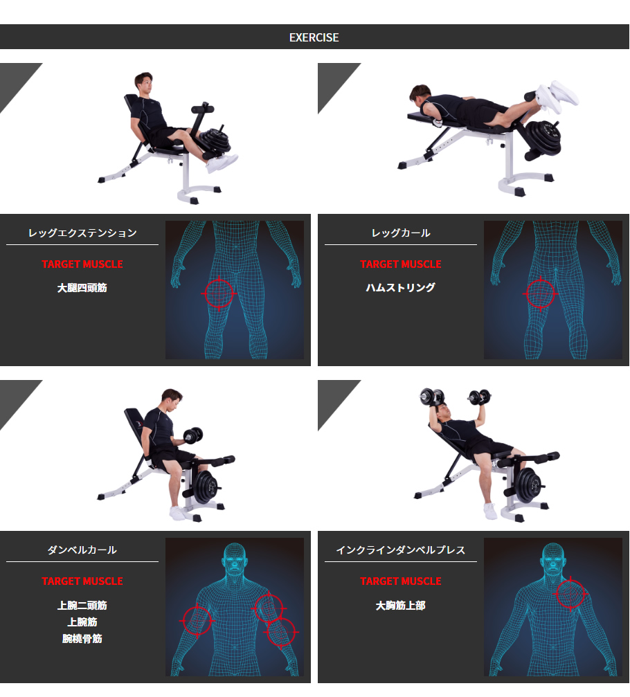 レッグフラットベンチ運動例