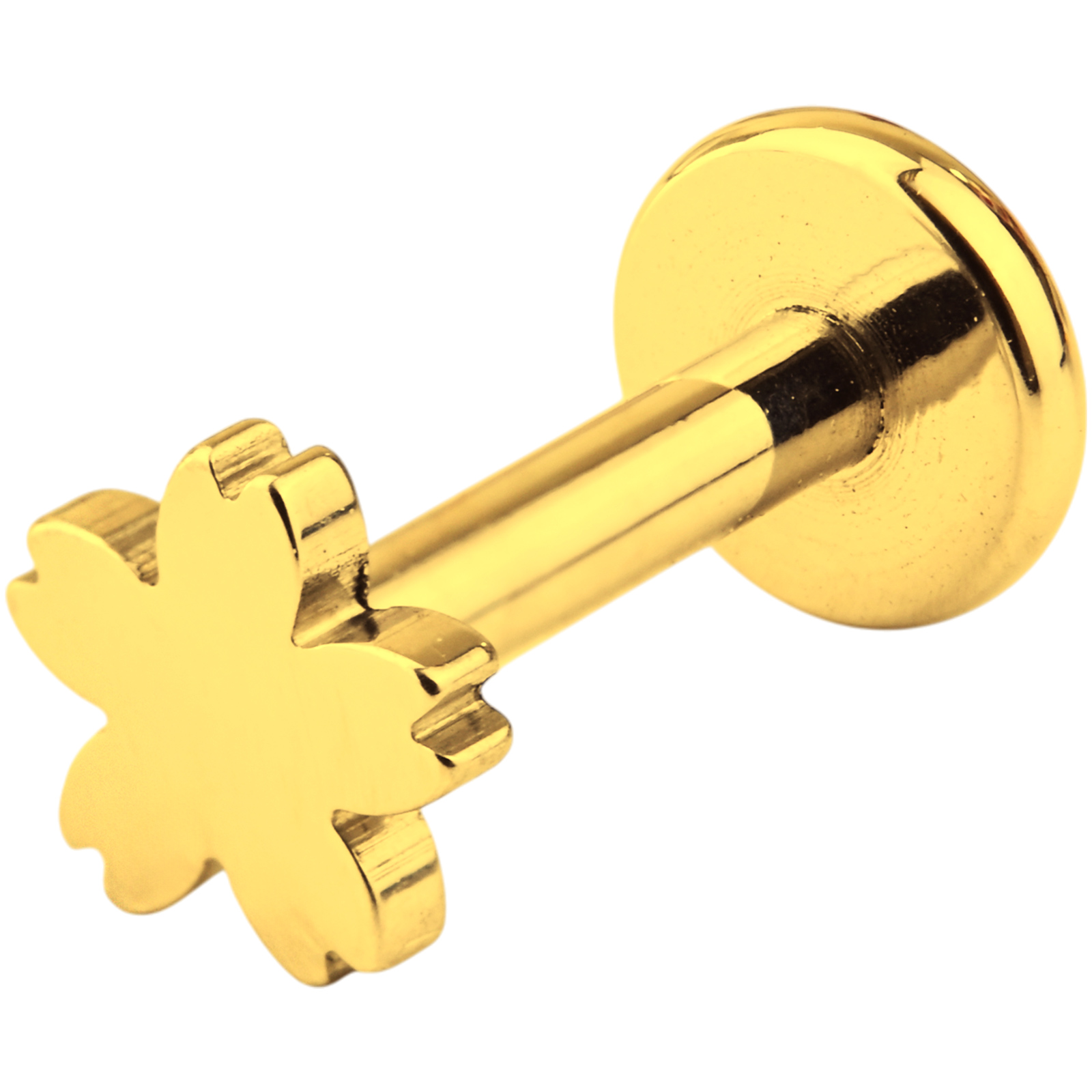 3月の推しピ 3/31でポイント10倍 2・3・4月限定モチーフ入荷 ボディピアス ラブレット 14G 16G 18G 星 月 ハート ラウンド さくら 片耳 金アレ対応 つけっぱなし | Body-Style | 10