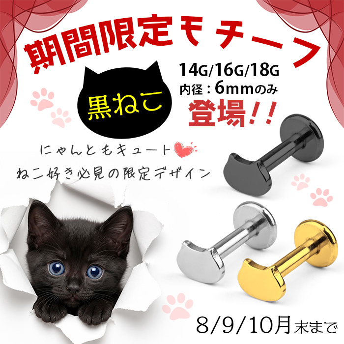 8/11までポイント10倍 8・9・10月限定...の詳細画像1