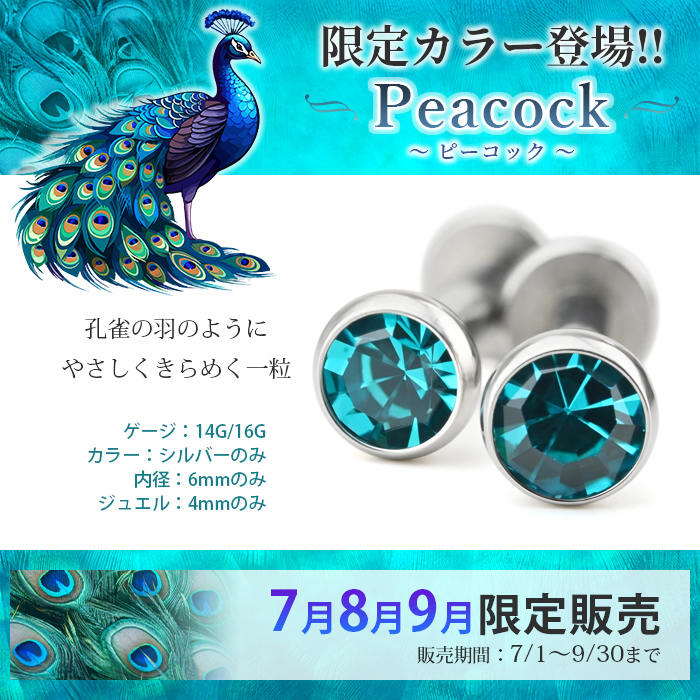 7月8月9月限定カラー入荷 両耳セット ボディ...の詳細画像1
