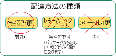 発送方法にレターパックプラス条件付可　メール便不可