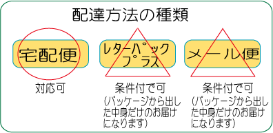 レターパックプラス条件付可、メール便条件付可
