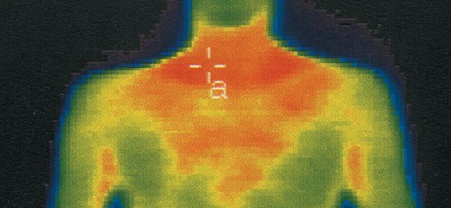 発熱ウォーマー　首用のサーモ実験