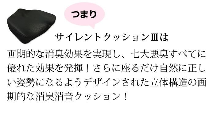 サイレントクッション3 おなら消音クッション : 4562432170981