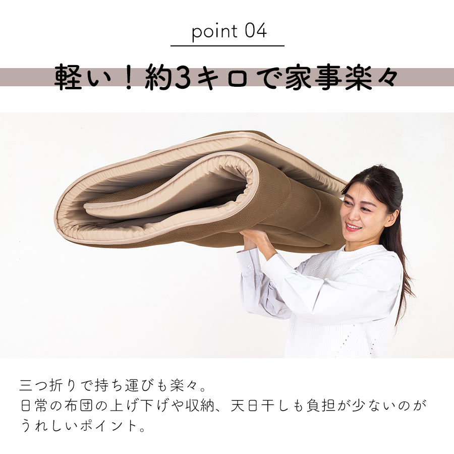 TEIJIN（テイジン） エアーバーティカル AIRVERTICAL 軽量敷布団