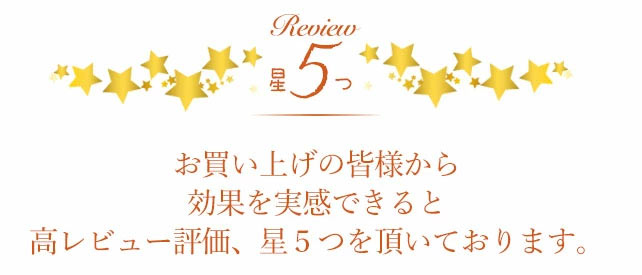 レビュー