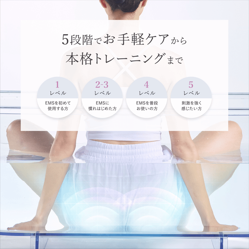 WAVEWAVE EMS Hydro Mat ハイドロマット ヒップアップ お尻