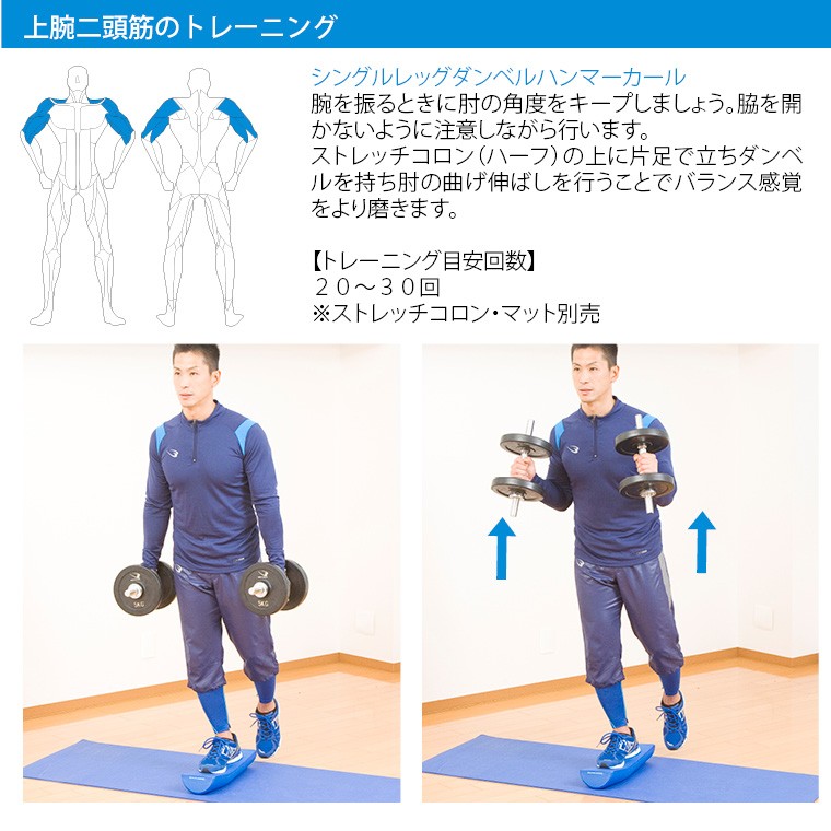 BODYMAKER BODYMAKER(ボディメーカー)ラバーダンベルNR 50kg