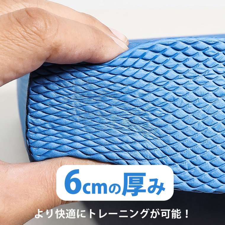 BODYMAKER（ボディメーカー） バランスマットDX BODYMAKER FY016 
