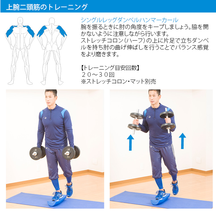 楽天市場】ジムハンマー 10kg ダンベル 鉄アレイ 筋トレ TOP