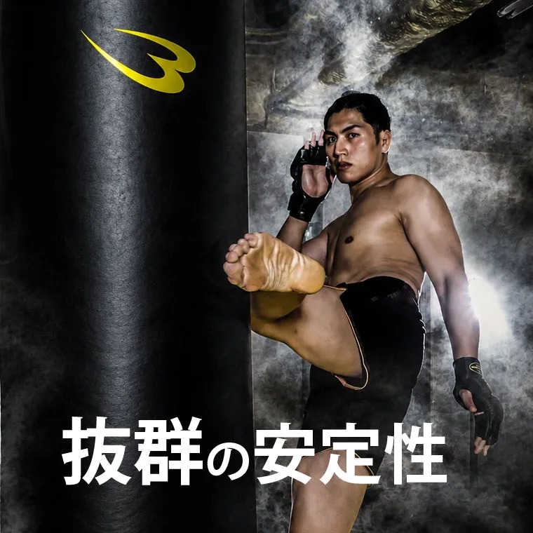 BODYMAKER（ボディメーカー） スタンディングバッグ スタンド型