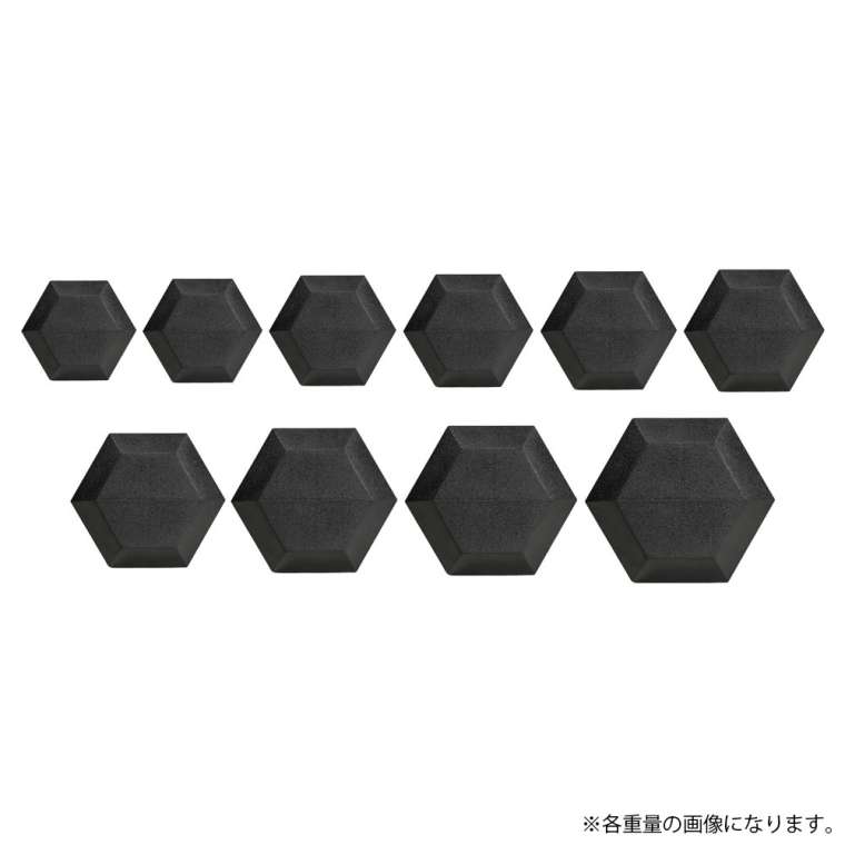 BODYMAKER（ボディメーカー） 六角ダンベル2KG 2個セット PD009200ST
