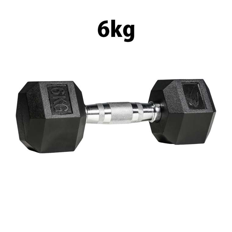 楽天市場】ダンベル 6キロ（スポーツ器具｜フィットネス