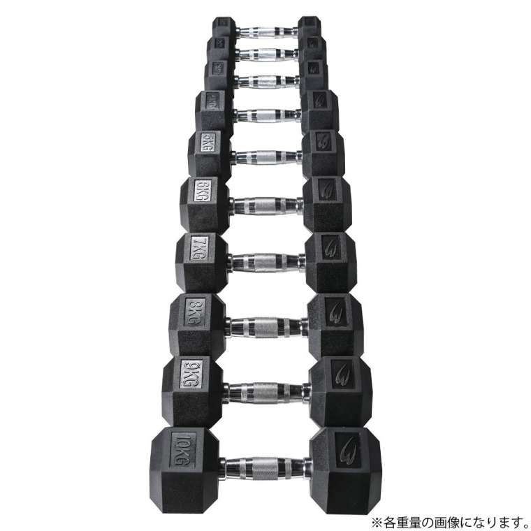 12.5キロ ダンベルセット　筋トレ 六角 黒 WILD FIT ワイルドフィット 固定式 六角ダンベル 12.5kg