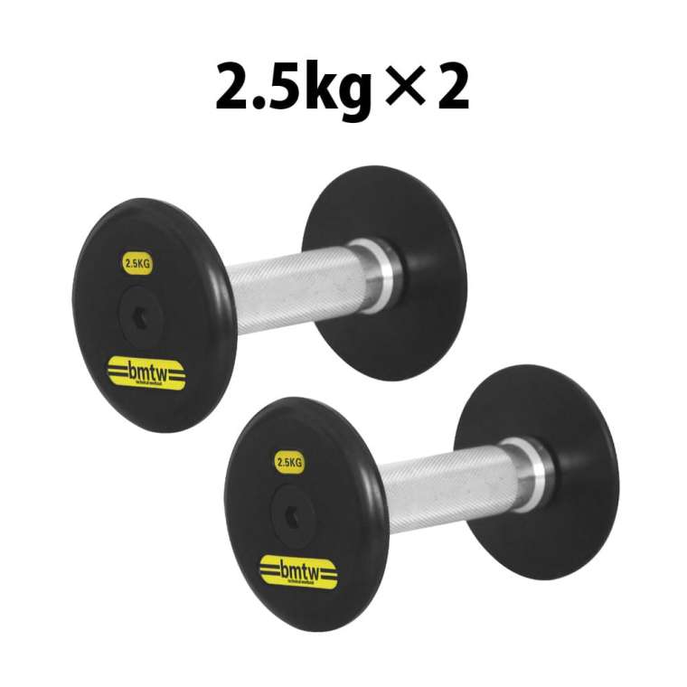 BODYMAKER（ボディメーカー） ジム用ハンマートーンダンベル 2.5kg 2個 