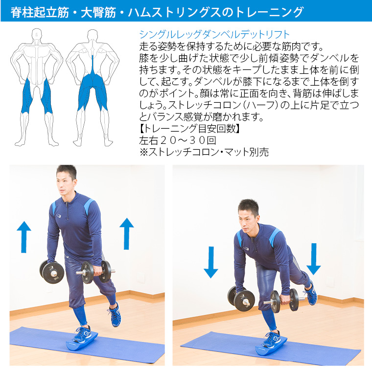 BODYMAKER（ボディメーカー） ラバーダンベルNR 30kgセット ダンベル
