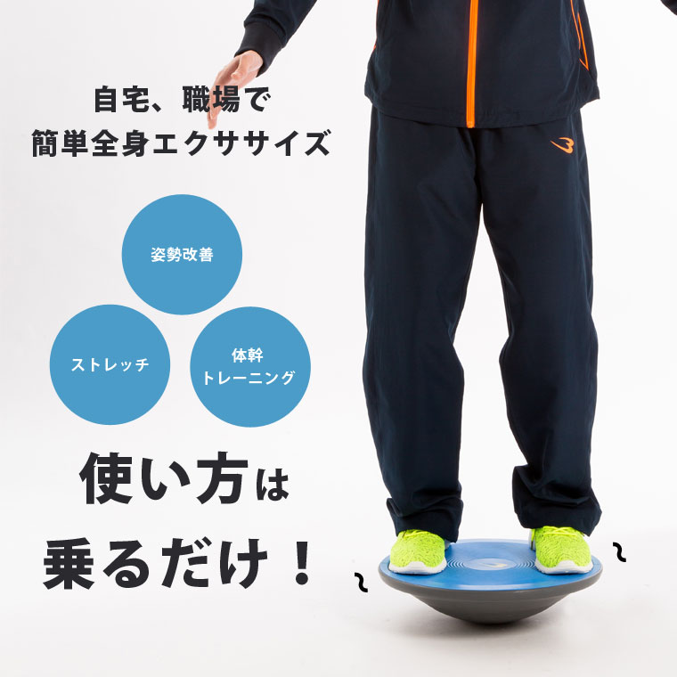 BODYMAKER（ボディメーカー） アダムスキー型バランスボード スイング