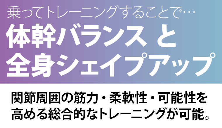 BODYMAKER（ボディメーカー） 半円型フィットネスボール チューブ付き2