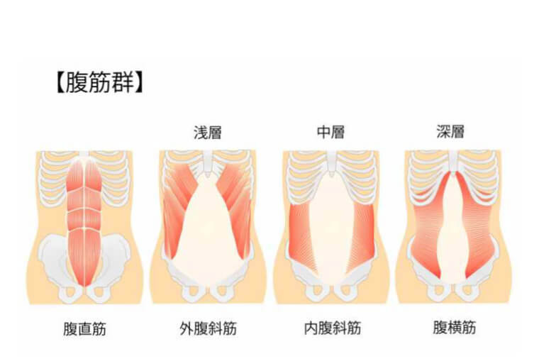 アブスライダー3 BODYMAKER ボディメーカー 腹筋ローラー 腰 立ちコロ ホイール トレーニング 腹筋 :TG360BKWH:BODYMAKER  Yahoo!店 - 通販 - Yahoo!ショッピング