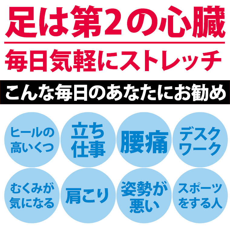 NEWストレッチボード BODYMAKER ボディメーカー ストレッチボード アキレス腱ストレッチ ストレッチ 9段階調節 手軽 前屈 足首柔軟ボード 【90日保証】 |  | 02