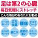 NEWストレッチボード BODYMAKER ボディメーカー ストレッチボード アキレス腱ストレッチ ストレッチ 9段階調節 手軽 前屈 足首柔軟ボード 【90日保証】 関連画像2