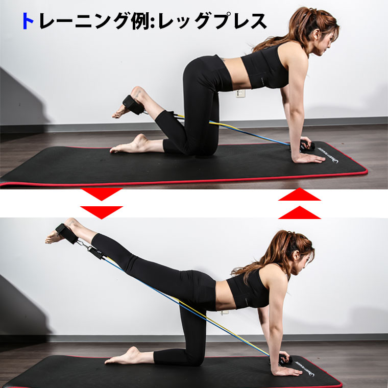 フィットネスチューブ ドアアンカー付 BODYMAKER ボディメーカー トレーニングチューブ トレーニング ストレッチ フィットネス 筋トレ 【90日保証】 |  | 05