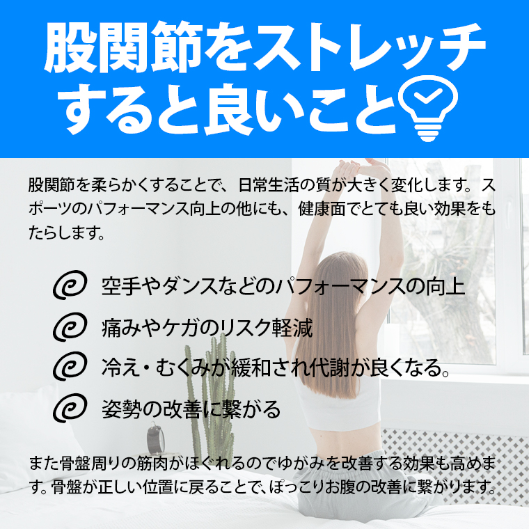 レッグストレッチャー BODYMAKER ボディメーカー ハイキック 開脚ストレッチャー 開脚 バー 補助器具 ストレッチ 柔軟 体操 股割り 折り畳み式 コンパクト |  | 14