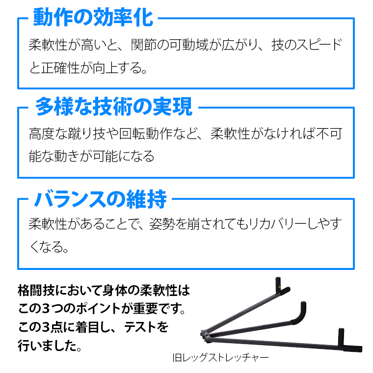 レッグストレッチャー BODYMAKER ボディメーカー ハイキック 開