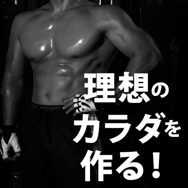 マルチディッピングスタンド トレーニングマットセット BODYMAKER