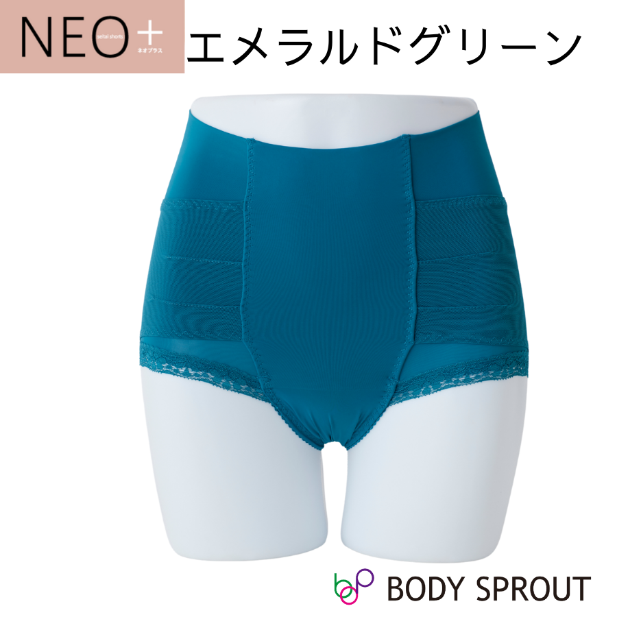 【新品】整体ショーツNEO＋　Mサイズ　2枚セット【おまけ付】 はくだけ整体 整体ショーツ NEO+ ネオプラス 2枚セット 骨盤