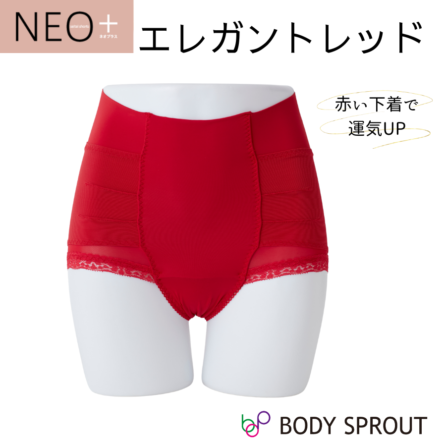 はくだけ整体 整体ショーツ NEO+ ネオプラス 骨盤ショーツ レディース
