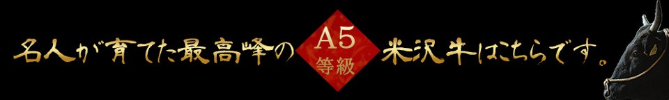 A5等級